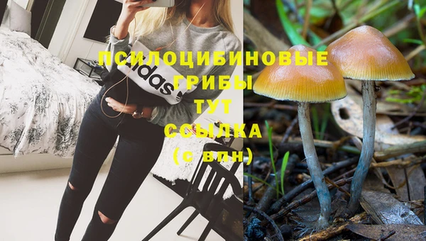 мдма Касимов