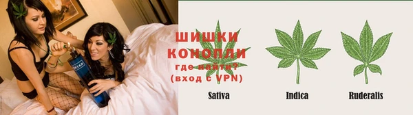 гидра Кинешма