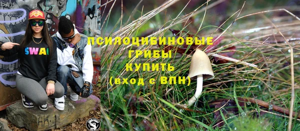 метадон Карпинск